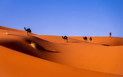 Sahara tur